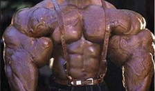 肌肉男视频,打造完美身材的秘诀解析